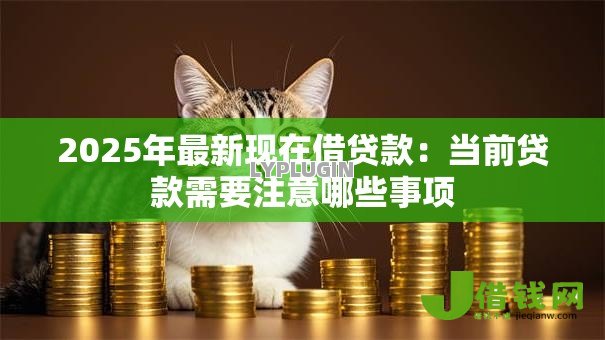 2025年最新现在借贷款：当前贷款需要注意哪些事项