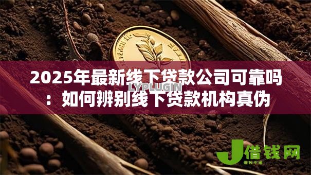 2025年最新线下贷款公司可靠吗:如何辨别线下贷款机构真伪 2025年最新线下贷款公司可靠吗:如何辨别线下贷款机构真伪
