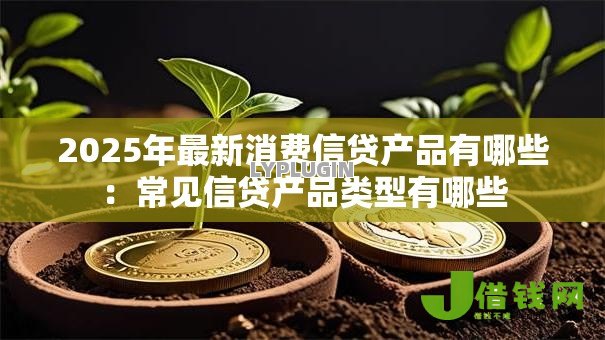 2025年最新消费信贷产品有哪些：常见信贷产品类型有哪些