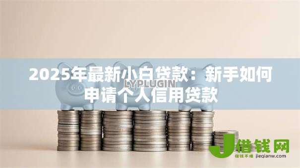 2025年最新小白贷款:新手如何申请个人信用贷款 2025年最新小白贷款:新手如何申请个人信用贷款