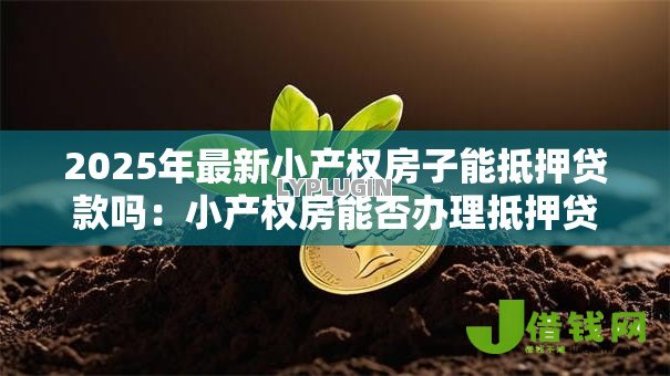 2025年最新小产权房子能抵押贷款吗：小产权房能否办理抵押贷款