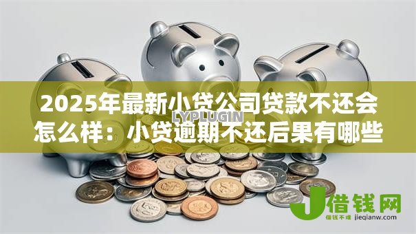 2025年最新小贷公司贷款不还会怎么样：小贷逾期不还后果有哪些