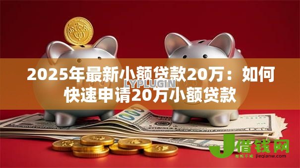 2025年最新小额贷款20万：如何快速申请20万小额贷款