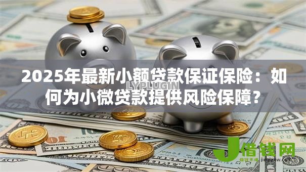 2025年最新小额贷款保证保险：如何为小微贷款提供风险保障？