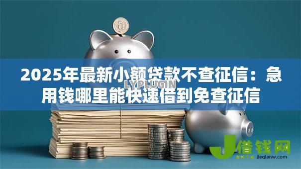 2025年最新小额贷款不查征信：急用钱哪里能快速借到免查征信