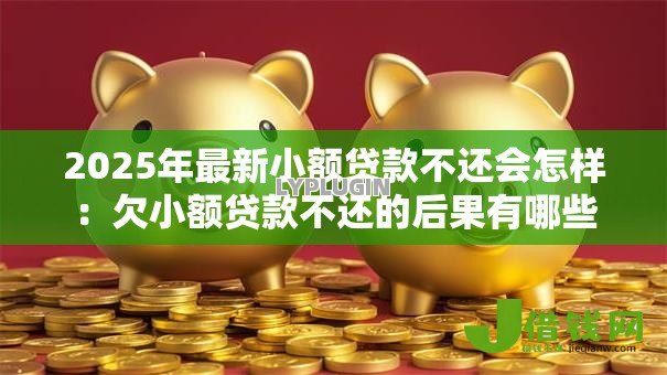 2025年最新小额贷款不还会怎样：欠小额贷款不还的后果有哪些