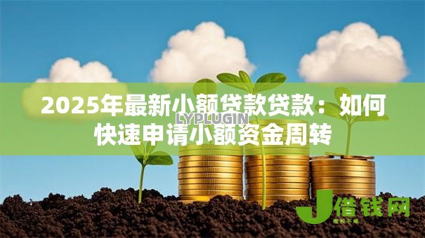 2025年最新小额贷款贷款：如何快速申请小额资金周转