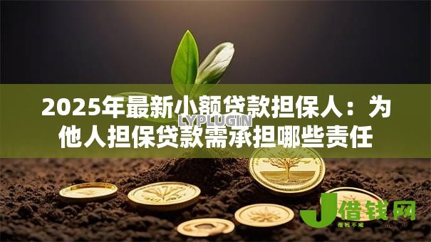 2025年最新小额贷款担保人：为他人担保贷款需承担哪些责任