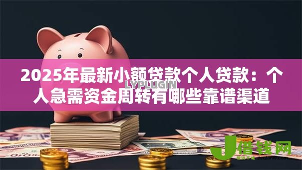 2025年最新小额贷款个人贷款:个人急需资金周转有哪些靠谱渠道 2025年最新小额贷款个人贷款:个人急需资金周转有哪些靠谱渠道