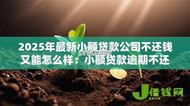 2025年最新小额贷款公司不还钱又能怎么样:小额贷款逾期不还会面临什么后果 2025年最新小额贷款公司不还钱又能怎么样:小额贷款逾期不还会面临什么后果