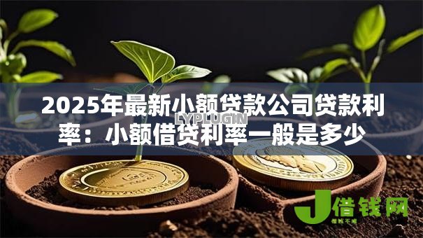 2025年最新小额贷款公司贷款利率:小额借贷利率一般是多少 2025年最新小额贷款公司贷款利率:小额借贷利率一般是多少