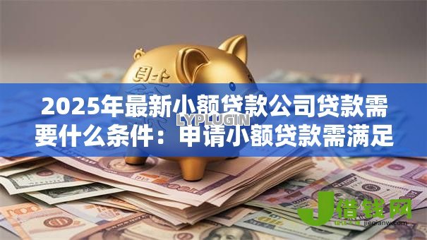 2025年最新小额贷款公司贷款需要什么条件:申请小额贷款需满足哪些资质 2025年最新小额贷款公司贷款需要什么条件:申请小额贷款需满足哪些资质