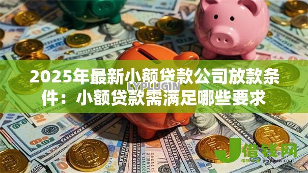 2025年最新小额贷款公司放款条件：小额贷款需满足哪些要求