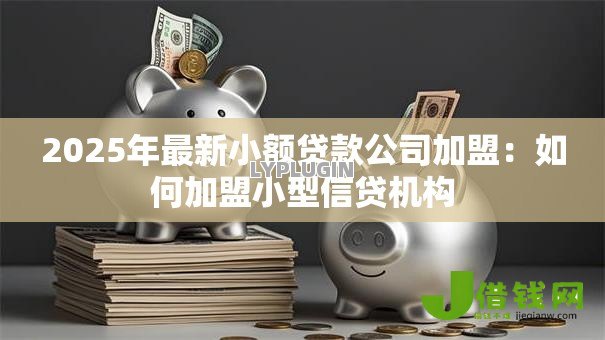 2025年最新小额贷款公司加盟：如何加盟小型信贷机构