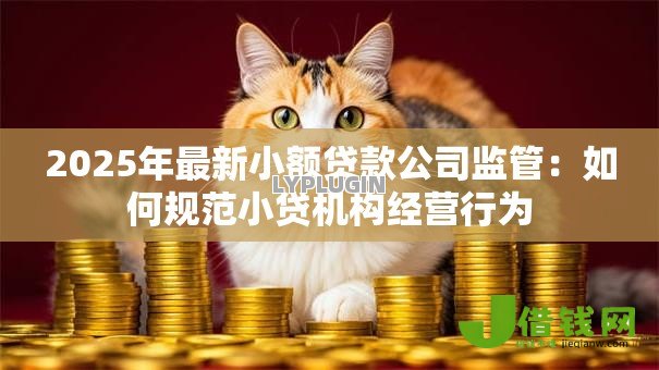 2025年最新小额贷款公司监管：如何规范小贷机构经营行为