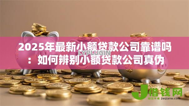 2025年最新小额贷款公司靠谱吗：如何辨别小额贷款公司真伪