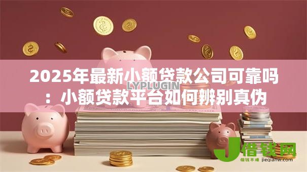 2025年最新小额贷款公司可靠吗：小额贷款平台如何辨别真伪
