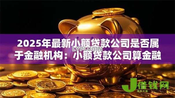 2025年最新小额贷款公司是否属于金融机构:小额贷款公司算金融机构吗 2025年最新小额贷款公司是否属于金融机构:小额贷款公司算金融机构吗