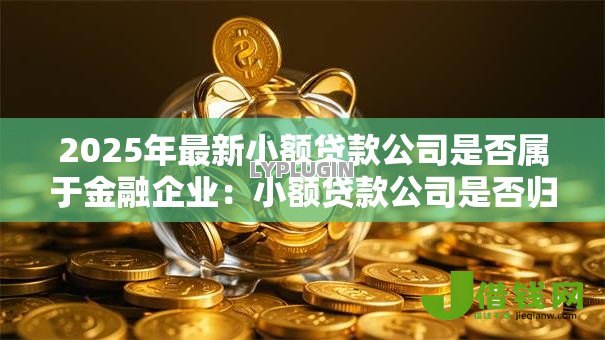 2025年最新小额贷款公司是否属于金融企业：小额贷款公司是否归类为金融机构