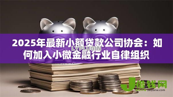 2025年最新小额贷款公司协会:如何加入小微金融行业自律组织 2025年最新小额贷款公司协会:如何加入小微金融行业自律组织