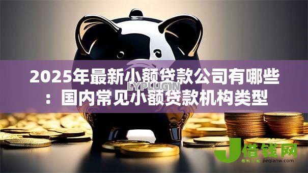 2025年最新小额贷款公司有哪些：国内常见小额贷款机构类型