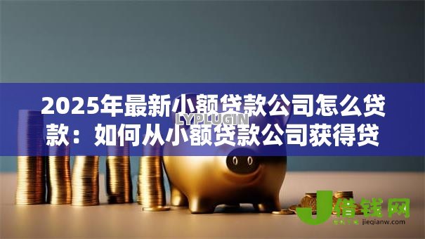 2025年最新小额贷款公司怎么贷款：如何从小额贷款公司获得贷款