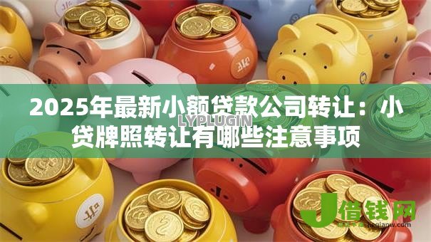 2025年最新小额贷款公司转让：小贷牌照转让有哪些注意事项