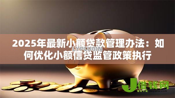 2025年最新小额贷款管理办法：如何优化小额信贷监管政策执行