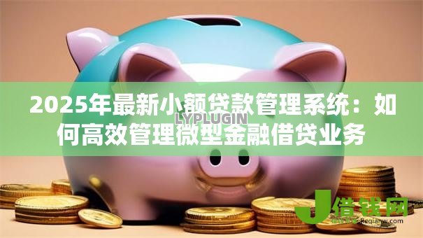 2025年最新小额贷款管理系统:如何高效管理微型金融借贷业务 2025年最新小额贷款管理系统:如何高效管理微型金融借贷业务