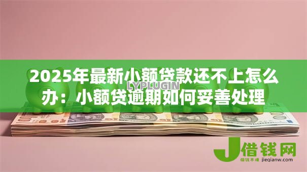 2025年最新小额贷款还不上怎么办：小额贷逾期如何妥善处理