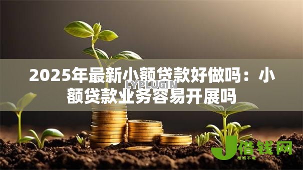 2025年最新小额贷款好做吗：小额贷款业务容易开展吗