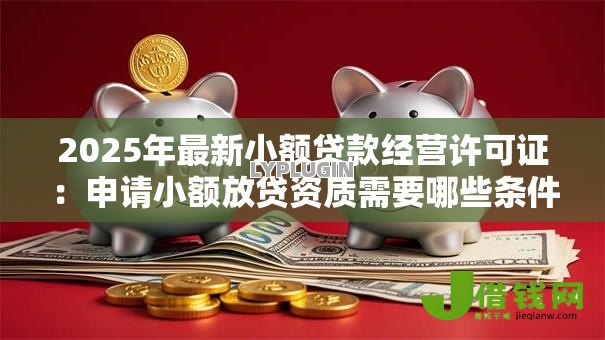 2025年最新小额贷款经营许可证：申请小额放贷资质需要哪些条件