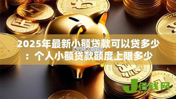 2025年最新小额贷款可以贷多少：个人小额贷款额度上限多少