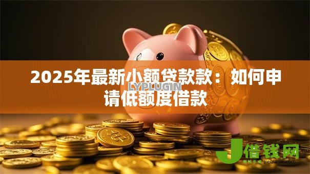 2025年最新小额贷款款：如何申请低额度借款