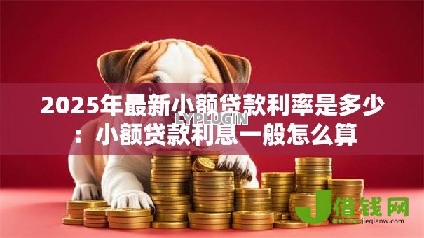 2025年最新小额贷款利率是多少：小额贷款利息一般怎么算