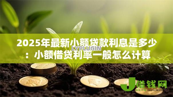 2025年最新小额贷款利息是多少：小额借贷利率一般怎么计算