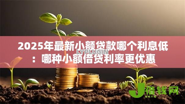 2025年最新小额贷款哪个利息低：哪种小额借贷利率更优惠
