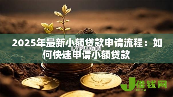 2025年最新小额贷款申请流程：如何快速申请小额贷款