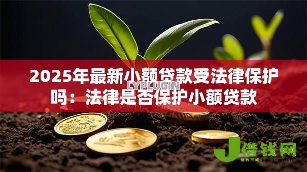 2025年最新小额贷款受法律保护吗：法律是否保护小额贷款