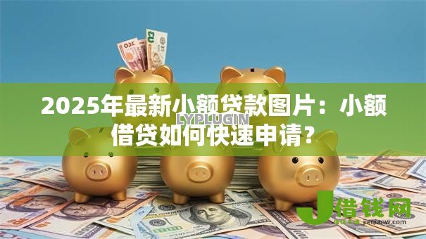 2025年最新小额贷款图片:小额借贷如何快速申请? 2025年最新小额贷款图片:小额借贷如何快速申请?
