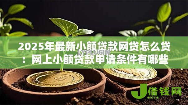 2025年最新小额贷款网贷怎么贷:网上小额贷款申请条件有哪些 2025年最新小额贷款网贷怎么贷:网上小额贷款申请条件有哪些