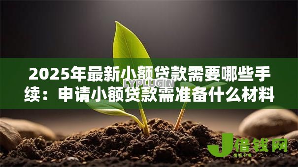 2025年最新小额贷款需要哪些手续:申请小额贷款需准备什么材料 2025年最新小额贷款需要哪些手续:申请小额贷款需准备什么材料