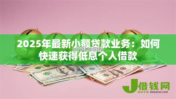 2025年最新小额贷款业务：如何快速获得低息个人借款