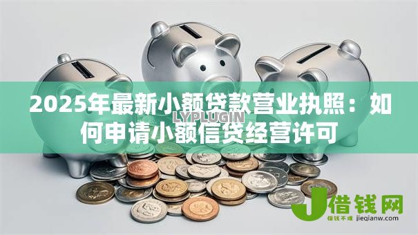 2025年最新小额贷款营业执照：如何申请小额信贷经营许可