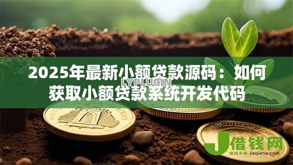 2025年最新小额贷款源码：如何获取小额贷款系统开发代码