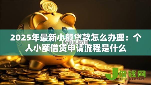 2025年最新小额贷款怎么办理：个人小额借贷申请流程是什么