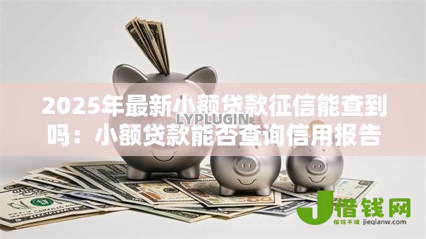 2025年最新小额贷款征信能查到吗：小额贷款能否查询信用报告