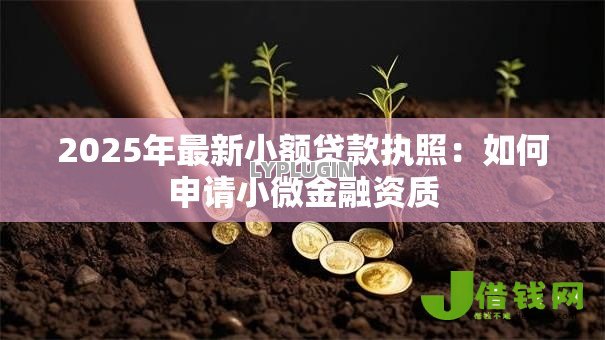 2025年最新小额贷款执照：如何申请小微金融资质