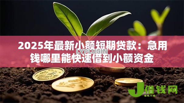 2025年最新小额短期贷款：急用钱哪里能快速借到小额资金