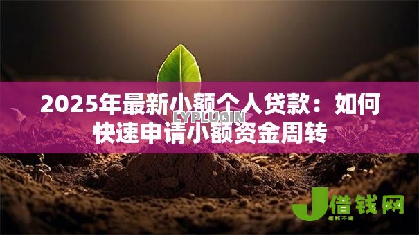 2025年最新小额个人贷款：如何快速申请小额资金周转